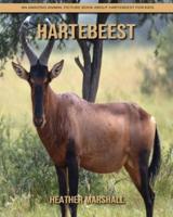 Hartebeest