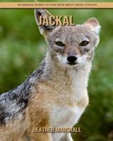 Jackal