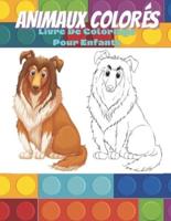 ANIMAUX COLORÉS - Livre De Coloriage Pour Enfants