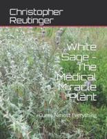 White Sage - The Medical Miracle Plant