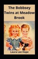 The Bobbsey Twins at Meadow Brook Illustrated