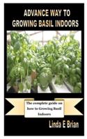 Advance Way to Growing Basil Indoors