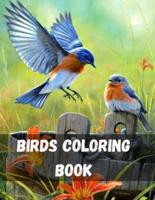 Birds Coloring Book