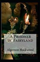 A Prisoner in Fairyland Illustrated