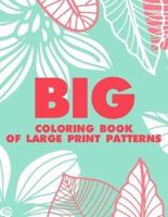 Big Coloring Book Of Large Print Patterns