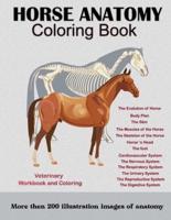 Horse Anatomy Coloring Book : For Equine Vet Anatomy Students: Veterinary Physiology Workbook and Coloring   Magnificent Learning Structure For Veterinary Anatomy Students To Help You Make Your Studies Easier