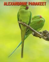 Alexandrine Parakeet