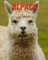 Alpaca