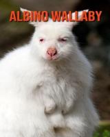 Albino Wallaby