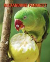 Alexandrine Parakeet