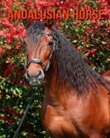 Andalusian Horse