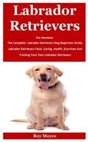 Labrador Retrievers For Amateur
