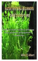 Water Wisteria Beginners Care Guide Care