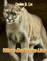 Where Do Pumas Live
