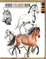 Horse Coloring Book