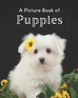 A Picture Book of Puppies : A Beautiful Picture Book for Seniors With Alzheimer's or Dementia. A Wonderful Gift for Dog Lovers.