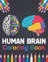 Human Brain Coloring Book: Human Body Anatomy Coloring Book For Medical, High School Students. Anatomy Coloring Book for kids. Human Brain Anatomy Coloring Pages for Kids Toddlers Teens. Human Brain Student's Self-Test Coloring & Activity Book.