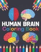 Human Brain Coloring Book: Human Brain Coloring & Activity Book for Kids. An Entertaining And Instructive Guide To The Human Brain. Human Brain Anatomy Coloring Pages for Kids Toddlers Teens. Human Brain Student's Self-Test Coloring & Activity Book.