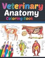Veterinary Anatomy Coloring Book: Veterinary Coloring Work book for Medical and Nursing Students. Children's Science Books. Veterinary Anatomy Coloring Pages for Kids Toddlers Teens. Veterinary Anatomy Student's Self-Test Coloring & Activity Book.
