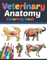 Veterinary Anatomy Coloring Book: Medical Anatomy Coloring Book for kids Boys and Girls. Zoology Coloring Book for kids. Stress Relieving, Relaxation & Fun Coloring Book. Veterinary Anatomy Student Self Test Coloring Workbook.