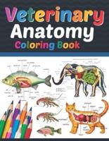 Veterinary Anatomy Coloring Book: Veterinary Anatomy Learning Workbook. Animal Anatomy Coloring Book. Kids Anatomy Coloring Book. Veterinary Anatomy Coloring Book for Men & Women. Veterinary Anatomy Student Self Test Coloring Workbook.