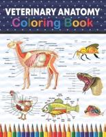 Veterinary Anatomy Coloring Book: Veterinary Anatomy Coloring and Activity Book for Boys & Girls. Fun and Easy Veterinary Anatomy Coloring Book. Learn The Veterinary Anatomy With Fun & Easy. Animal Anatomy Coloring Pages for Kids Toddlers Teens.