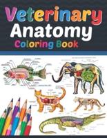 Veterinary Anatomy Coloring Book: Veterinary Anatomy Student's Self-Test Coloring Book. Great Gift For Boys & Girls. Anatomy Workbook For Kids. Veterinary Anatomy Coloring Pages for Kids Toddlers. Veterinary Anatomy Coloring Workbook for Medical Students.