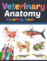 Veterinary Anatomy Coloring Book: Veterinary Anatomy Learning Workbook. Animal Anatomy Coloring Book. Kids Anatomy Coloring Book. Veterinary Anatomy Coloring Book for Men & Women. Veterinary Anatomy Coloring Workbook for Medical & Nursing Students.