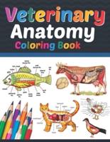 Veterinary Anatomy Coloring Book: Veterinary Anatomy Coloring Book For Medical, High School Students. Anatomy Coloring Book for kids.Veterinary Anatomy Coloring Pages for Toddlers Teens.Veterinary Anatomy Coloring Workbook for Medical & Nursing Students.