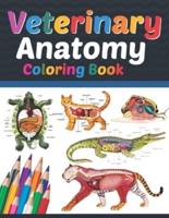 Veterinary Anatomy Coloring Book: Veterinary Anatomy Coloring and Activity Book for Boys & Girls. Veterinary Anatomy Self Test Guide for students. Animal Art & Anatomy Workbook for Kids & Adults. Perfect Gift for Veterinary Anatomy Students & Teachers.