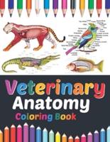 Veterinary Anatomy Coloring Book: Veterinary Anatomy Coloring and Activity Book for Boys & Girls. Veterinary Anatomy Learning Workbook. Animal Anatomy Coloring Book. Kids Anatomy Coloring Book. Veterinary Anatomy Coloring Book for Men & Women.