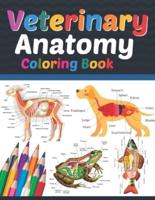Veterinary Anatomy Coloring Book: Veterinary Anatomy Coloring and Activity Book for Boys & Girls. Veterinary Anatomy Coloring Book For Medical, High School Students. Anatomy Coloring Book for kids.Veterinary Anatomy Coloring Pages for Kids Toddlers Teens.