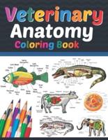 Veterinary Anatomy Coloring Book: Veterinary Anatomy Coloring & Activity Book for Kids. An Entertaining & Instructive Guide To Veterinary Anatomy. Veterinary Anatomy Coloring Pages for Kids. Veterinary Anatomy Student's Self-Test Coloring & Activity Book.