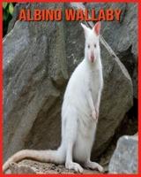 Albino Wallaby