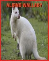 Albino Wallaby