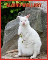 Albino Wallaby