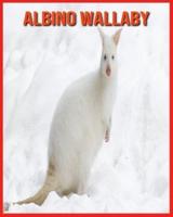 Albino Wallaby