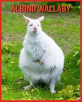 Albino Wallaby