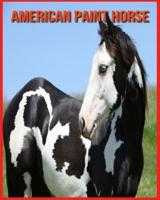 American Paint Horse