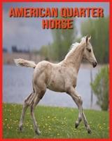 American Quarter Horse