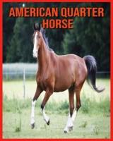 American Quarter Horse