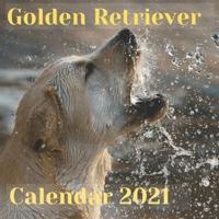 Golden Retriever Calendar 2021: Puppy Happy Relaxation Calendar Planner Desk Calendar Organizer Perfect Gift For Men and Women And Dog Lovers