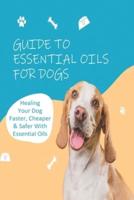 Guide To Essential Oils For Dogs