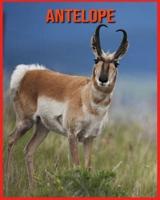 Antelope