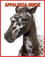 Appaloosa Horse