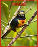 Aracari