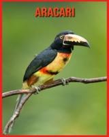 Aracari