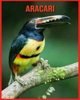 Aracari