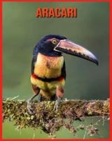 Aracari