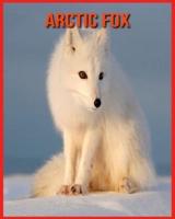 Arctic Fox